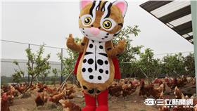 ▲留住牠們生存的最後淨土！一起來買石虎蛋（圖／農委會）