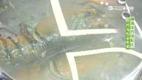 南部美食蒸氣鍋海鮮1800