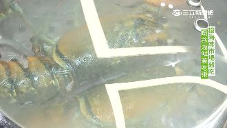 現撈現煮好新鮮　海鮮粥滿溢海味精華