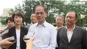 民進黨中常委、前行政院長游錫堃。（記者盧素梅攝）