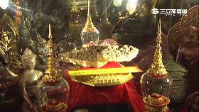 舍利生解密g1800