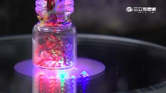 驚奇！苗可麗結緣舍利子竟「生寶寶」