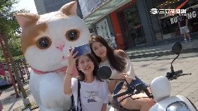 Mio大貓2024 0913E192