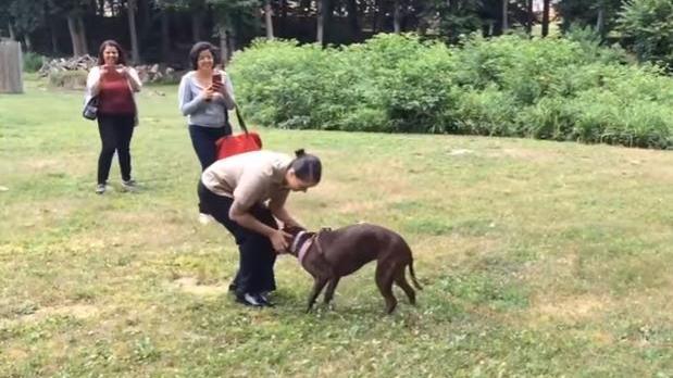 女兵一年後與心愛犬重逢　畫面有洋蔥