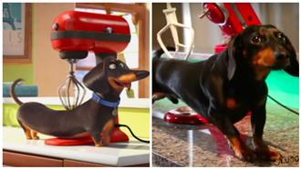 現實版寵物當家！攪拌器按摩好舒爽？