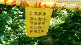 新竹4男大生大坪溪抓魚蝦