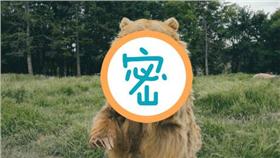 棕熊,毛茸茸,動物,打招呼,揮手,可愛
andyto instagram https://goo.gl/F5zF1N