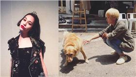 水原希子、何韻詩（圖／翻攝自水原希子微博、何韻詩臉書）