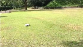 掃地機器人（圖／翻攝自Twitter）
https://twitter.com/warusoneko/status/754140780160090112