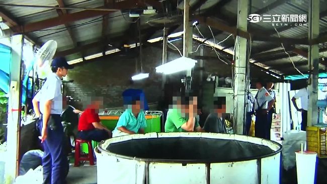廢豬舍藏鬥雞場　主嫌嘆：剛開就被查