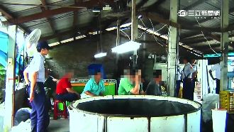 廢豬舍藏鬥雞場　主嫌嘆：剛開就被查