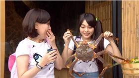 看到比臉還大的活體鱈場蟹，驚訝度破錶。