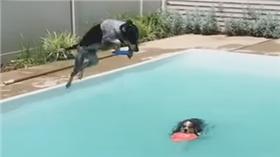 蓋火鍋-Youtube-https://www.youtube.com/watch?v=zawmzp4-qvQ