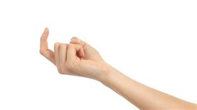 手指頭 圖／shutterstock／達志影像