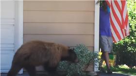 棕熊看到人落荒而逃/https://www.youtube.com/watch?v=bEgeh5hA5ko