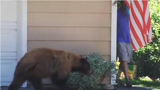 人類和棕熊巧遇　結局讓人笑翻