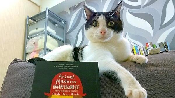 動物能夠教導我們的，其實非常多！