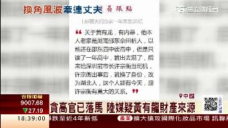 趙薇再陷風暴　老公黃有龍被爆偽富