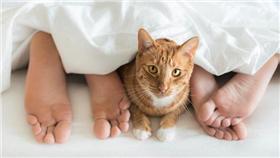 圖／《每日郵報》