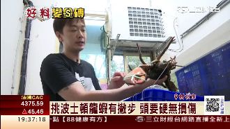 工程師轉行當漁夫　年營業額4千萬元