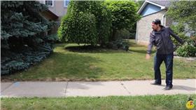 pokemon GO Pokémon Go 無用鴨公司