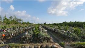 好天氣、晴朗、晴天、太陽、高溫、炎熱（圖／記者張碧珊攝）