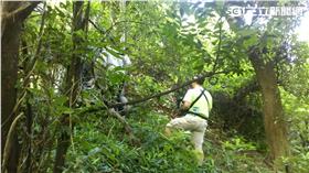 柯翁撿拾454萬贓款涉侵占遺失物罪嫌送辦（翻攝畫面）