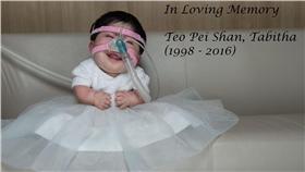 張佩珊,長不大的女孩,先天性遺傳疾病黏多醣症,拇指姑娘
圖／翻攝自Portrait from the Heart臉書