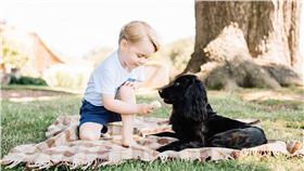 喬治小王子,Prince George,威廉王子,Prince William,凱特王妃,Kate Middleton,英國,皇室,萌,萌娃,餵狗,冰淇淋,乳製品,巧克力,盧波,虐待,動物-翻攝自The Royal Family臉書16:9