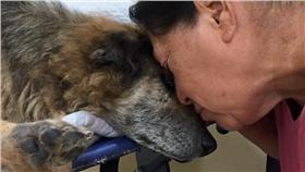 毛小孩,寵物,狗,愛犬,安樂死,
（Home Dog L.A. 臉書：https://www.facebook.com/homedogla/posts/652422834916671）