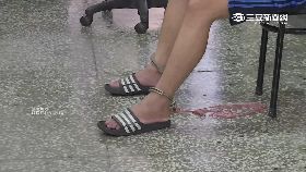 W屏東子殺父1200