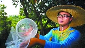 蚊子,工廠（圖／翻攝自廣州日報）
http://gzdaily.dayoo.com/html/2016-07/23/content_5_1.htm