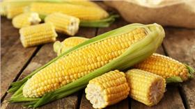 玉米／達志影像