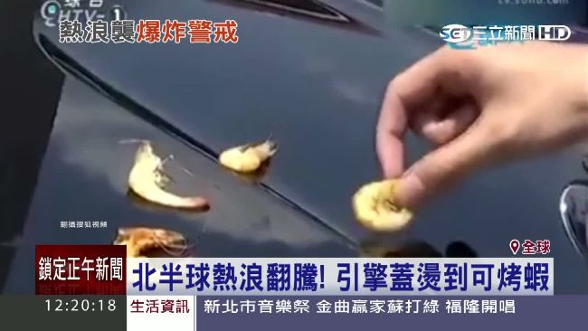 北半球熱浪翻騰！引擎蓋變「鐵板燒」