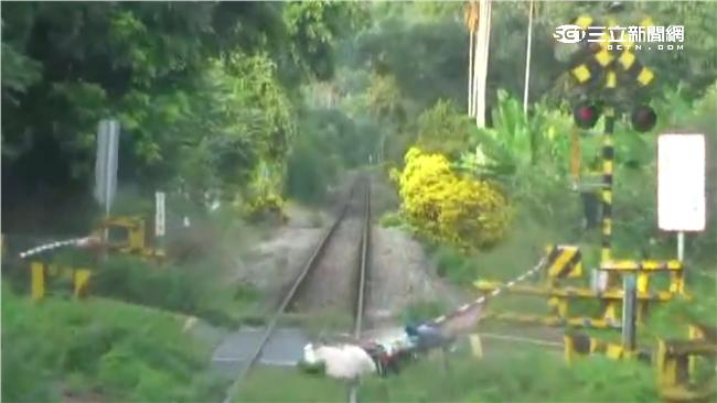 老翁闖平交道遭火車撞　驚悚影片曝光
