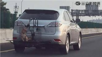 車主將愛犬綁車尾　上國道高速狂飆