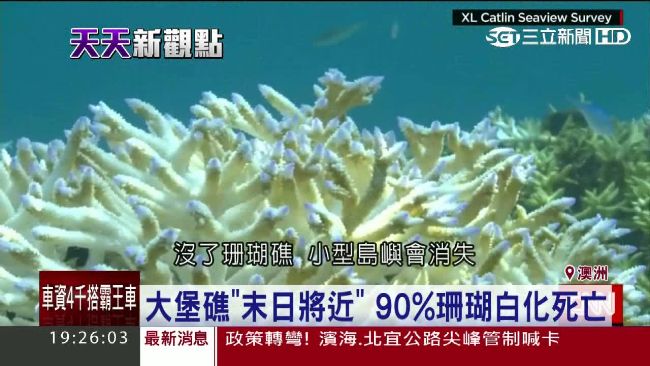 無聲浩劫！大堡礁90%珊瑚白化死亡