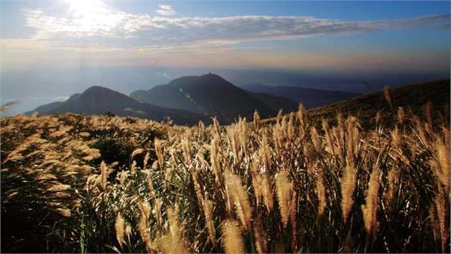 雙十連假去哪？北市推10大景點玩法