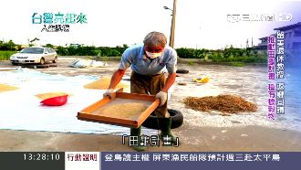 退休教授回饋家鄉　推田龜計畫助老農