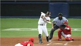 阿部慎之助(圖/報知體育提供)