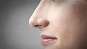 鼻子,抗生素,病原體,器官,科學
圖／shutterstock／達志影像