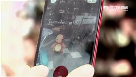 -精靈寶可夢-Pokémon GO-Pokemon GO-神奇寶貝-小火龍-