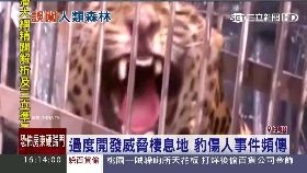 S印豹亂咬人1600