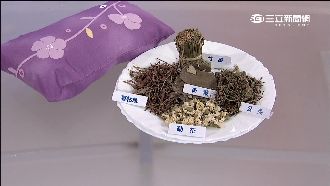 改善眩暈有撇步　中藥材變「抗暈枕」