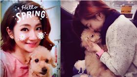 任家萱 Selina臉書