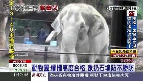 大象砸死童1100.