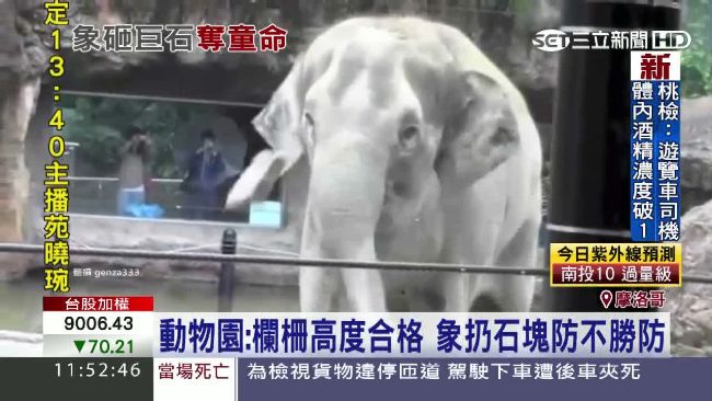 大象不拍照留念　扔石塊砸死7歲女童