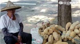 絲瓜絡,老伯,路邊攤（圖／網友Carefree Chep授權提供）