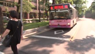 學者來台出車禍　竟是「立體盲」釀禍