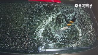 汽車臨停家門前　屋主暴怒連砸20車